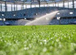 纳达尔透露,筹划未来行,祈愿众人安,杏彩娱乐官网,杏彩娱乐官网全球信赖,杏彩娱乐官网在线娱乐平台