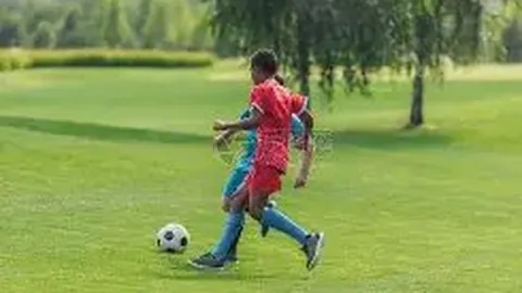 首份中视协创新委员会阵容揭晓 王凯、谭松韵等加盟