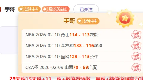 巴朗-戴維斯與伙伴因膝關節前十字韌帶撕裂攜手決定退役